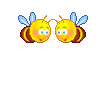 2 kumbang membentuk love bungaspring_bees
